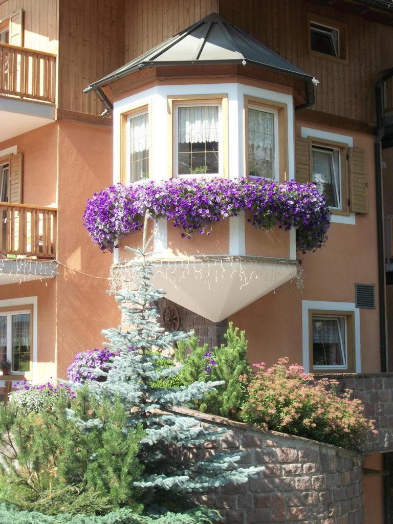 Hotel Vallechiara Моэна Экстерьер фото
